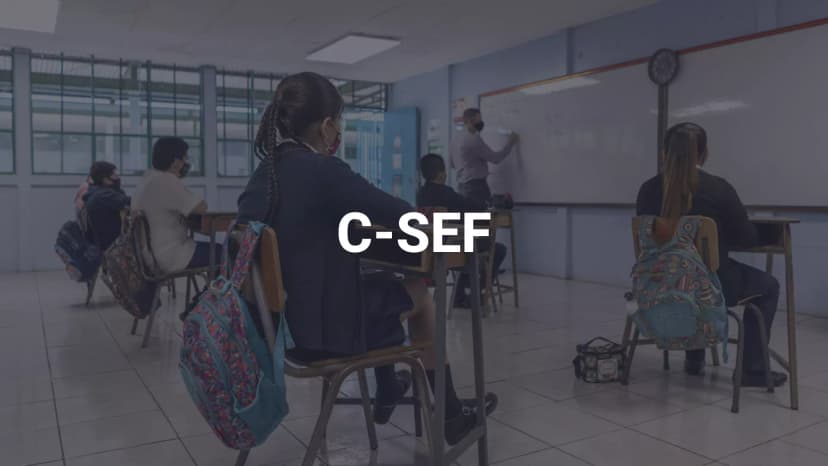 C-SEF